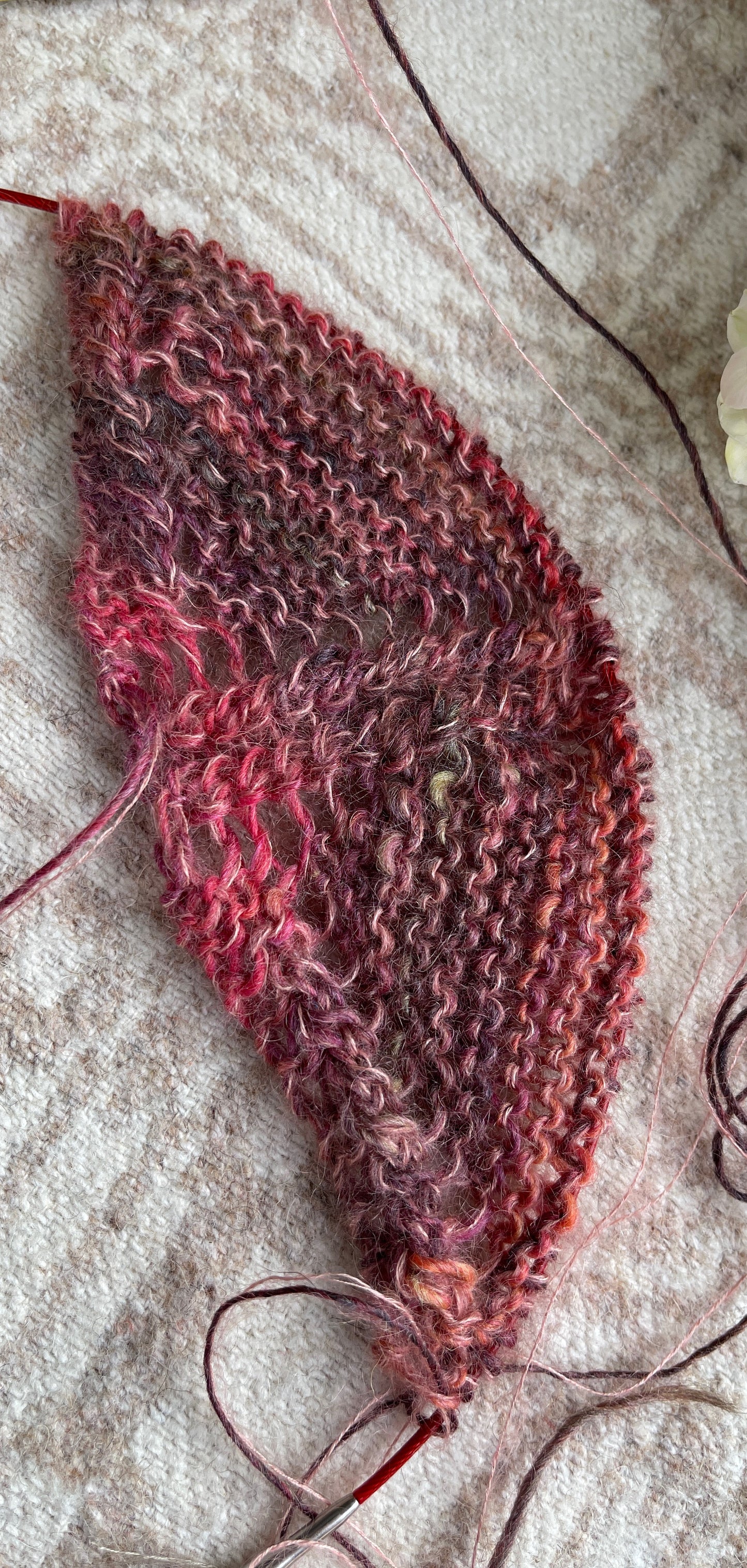 Pattern - Petit Venne Scarf